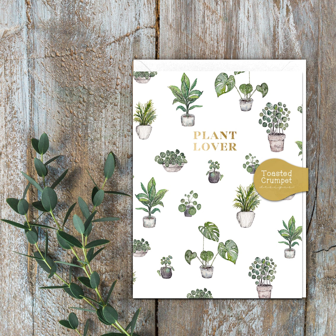 Plant Lover Greeting Card itsy Bitsy Boutique